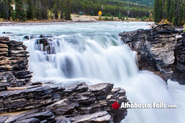 Athabasca Falls During November